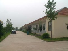 廠區(qū)環(huán)境